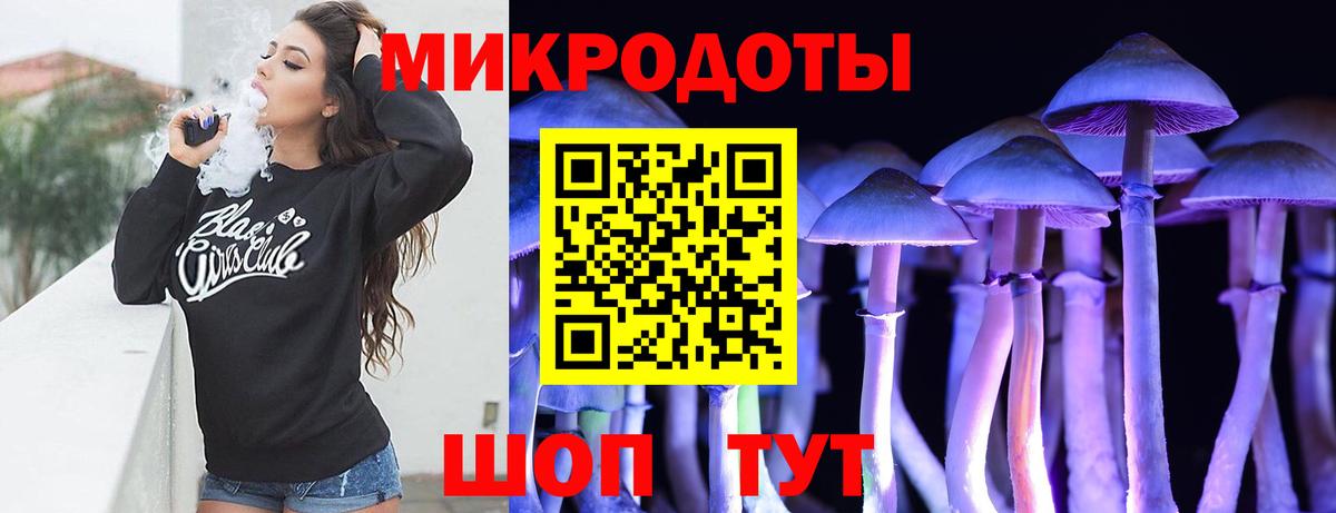 Галлюциногенные грибы Cubensis  Вход с VPN  Ивантеевка  Галлюциногенные грибы прущие грибы 